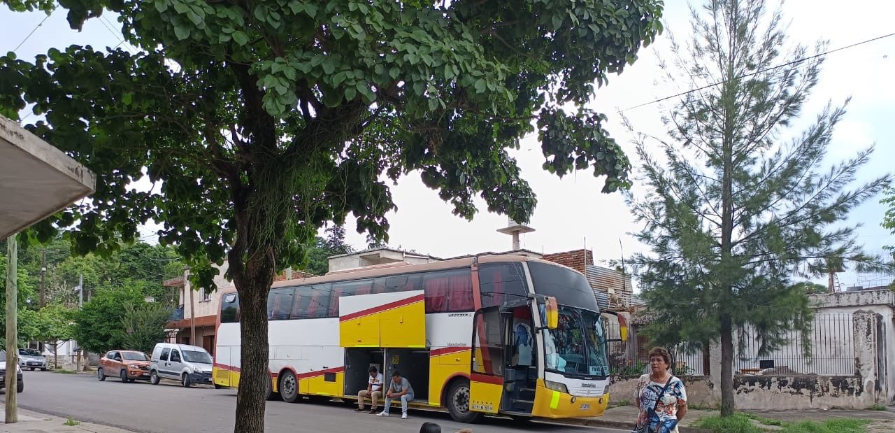 Bus TransKadise en servicio urbano